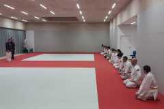 11 - SESA